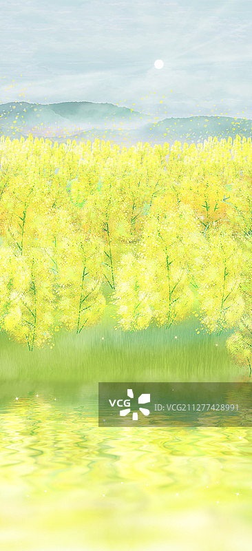 早晨太阳升起，阳光撒在油菜花地上插画背景图片素材