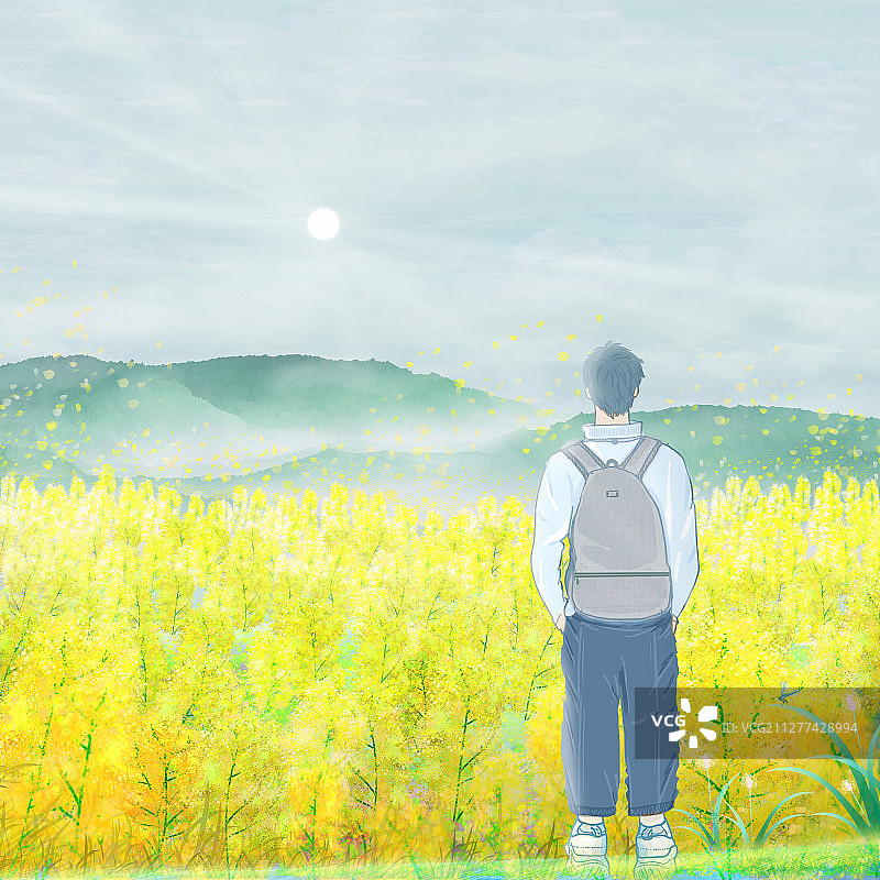 一位年轻人站在油菜花地里看风景插画图片素材