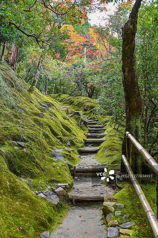 日本京都银阁寺庭院风光图片素材