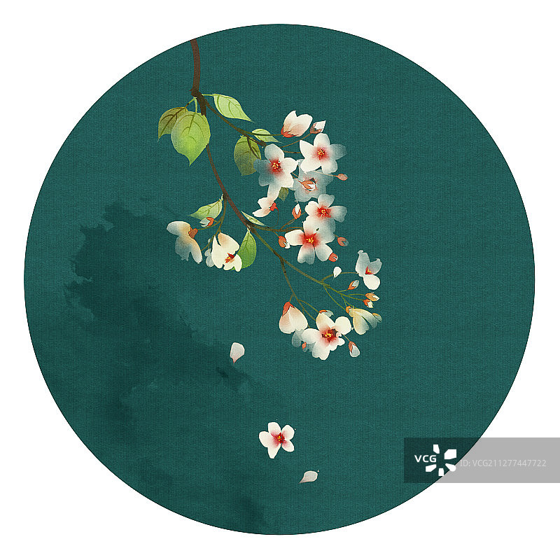 花草插画 桐花图片素材