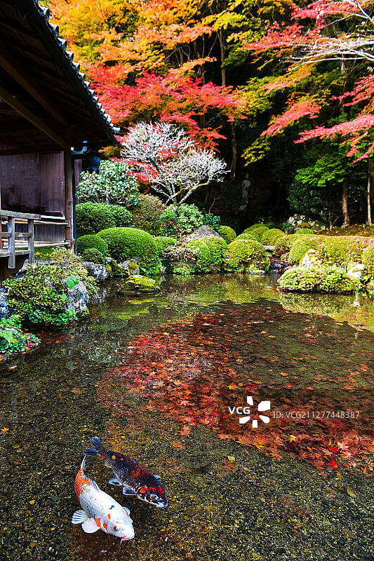 日本京都寂光院风景图片素材
