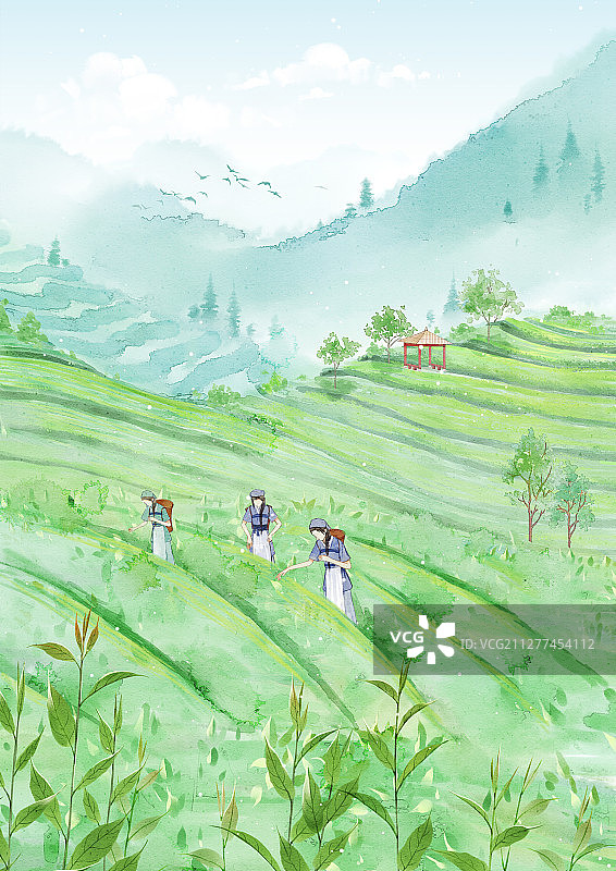 小清新水彩风格古风风景插画 采茶图片素材
