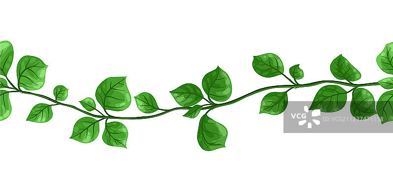 丛林藤蔓植物无缝图案图片素材