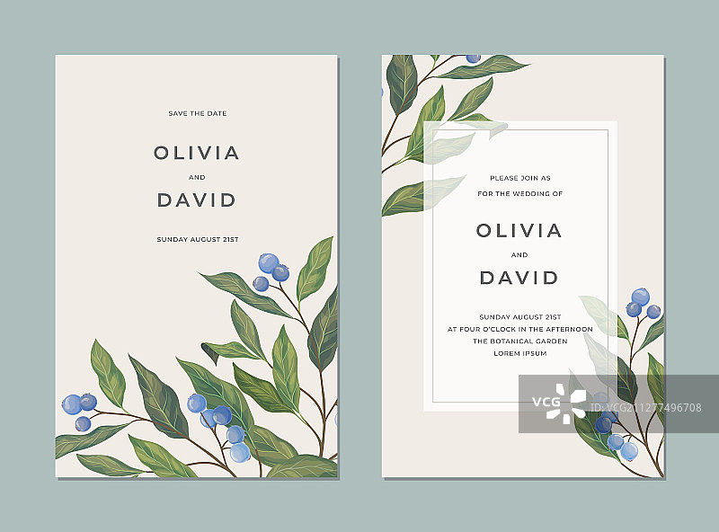 蓝莓卡片模板图片素材