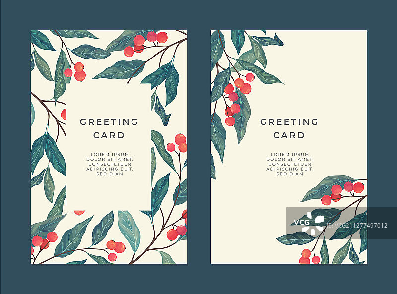 带红色浆果的卡片模板图片素材