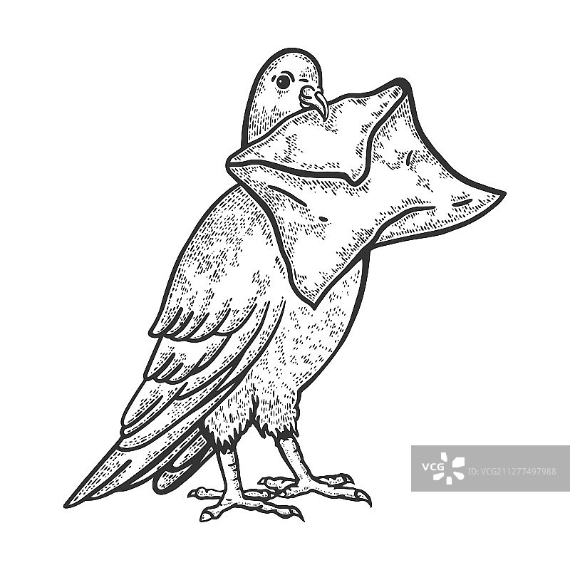 信鸽邮递信件素描雕刻图片素材