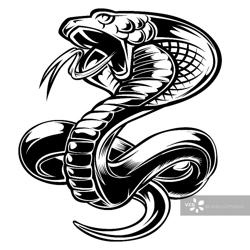 黑色卡通眼镜蛇动物艺术图片素材