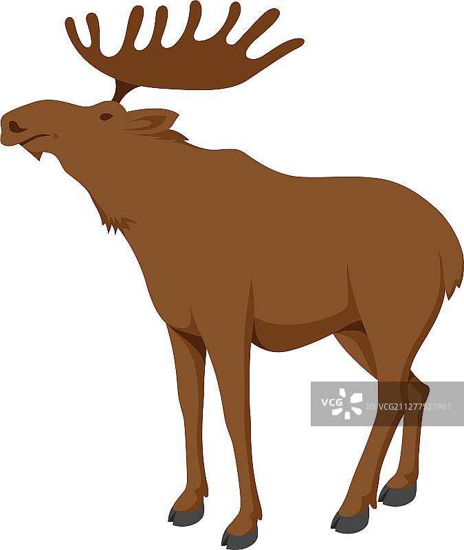 大型麋鹿动物图片素材