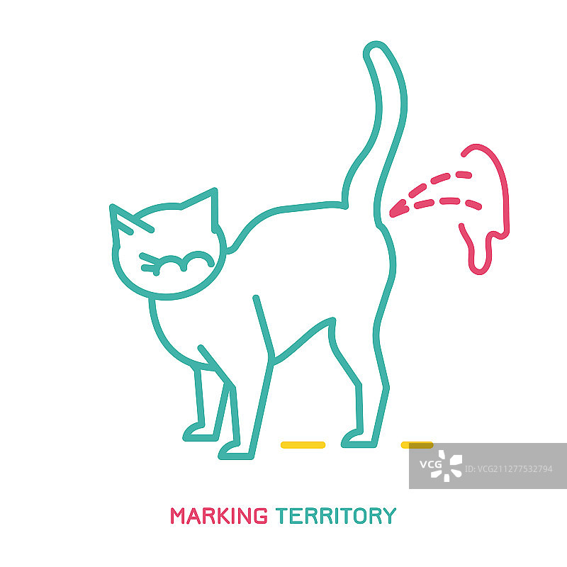 猫咪标记领地标志图片素材