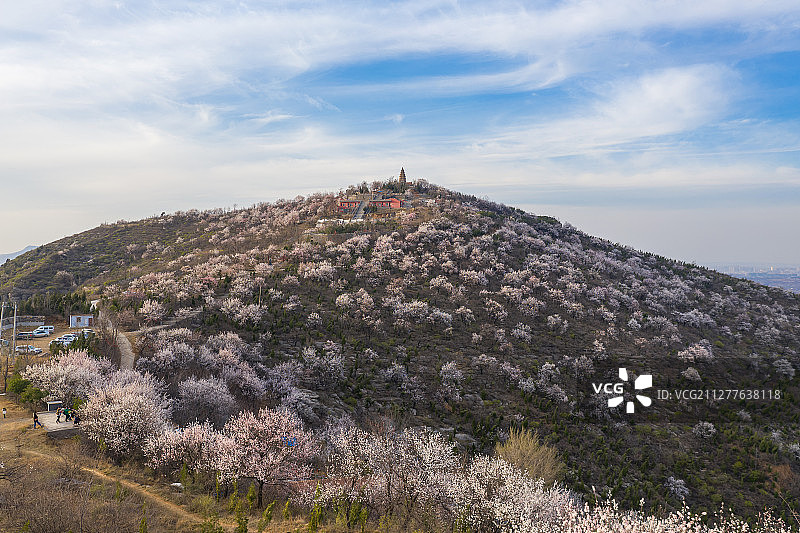 郑州千尺塔春色图片素材