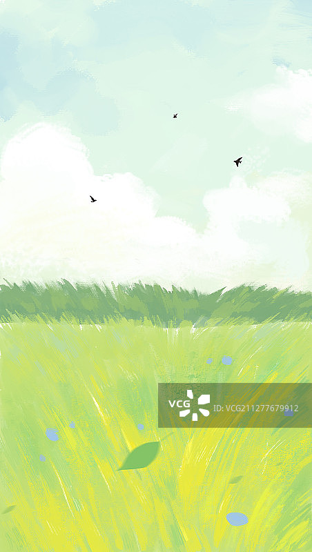 绿色的夏天图片素材