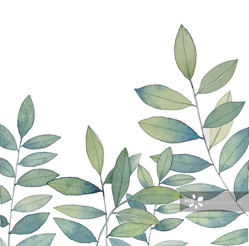 水彩插画嫩绿的叶子图片素材