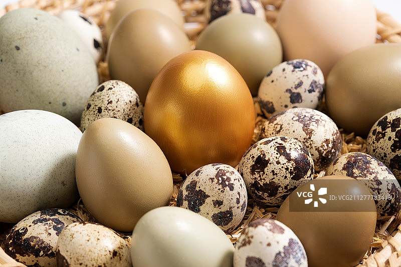筐里的鸡蛋鸭蛋鹌鹑蛋金蛋图片素材
