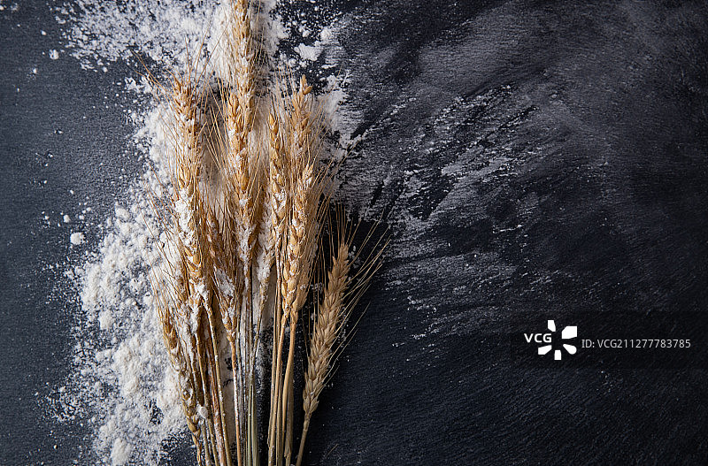 黑色背景下沾满面粉的麦穗图片素材