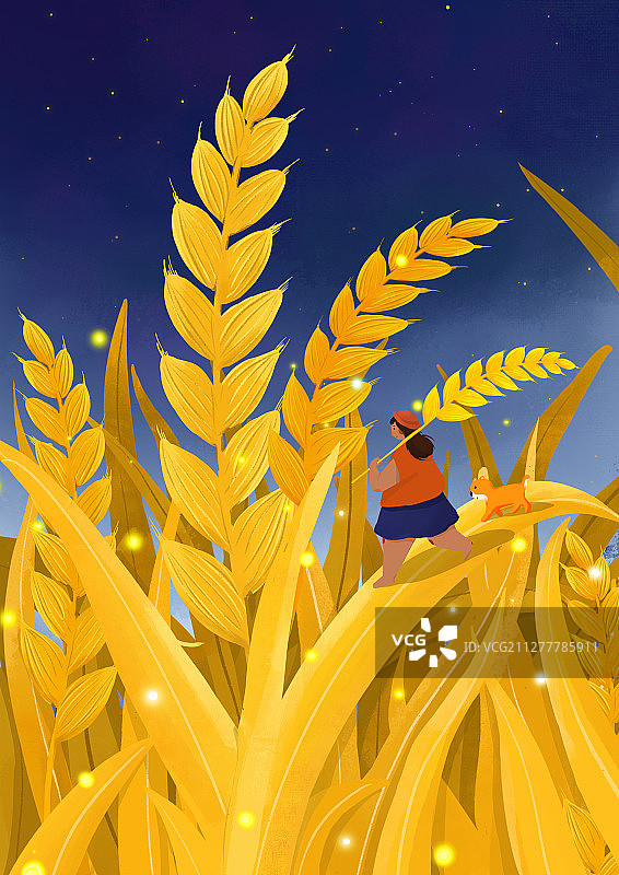 24节气芒种图片素材