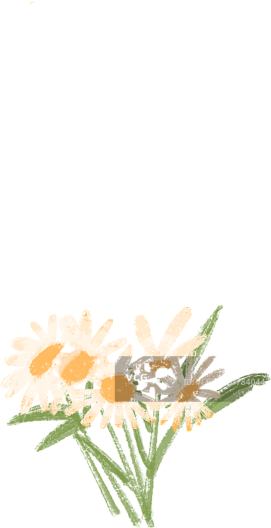 飘舞的花图片素材