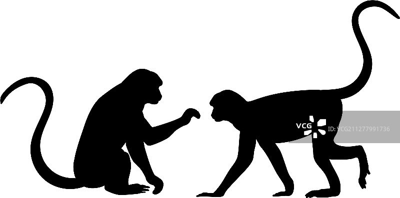 猴子家庭轮廓图片素材