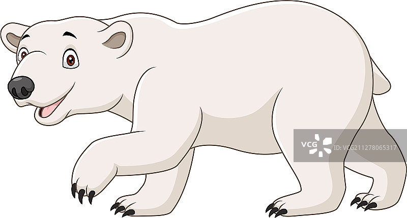 白色背景上的卡通北极熊图片素材