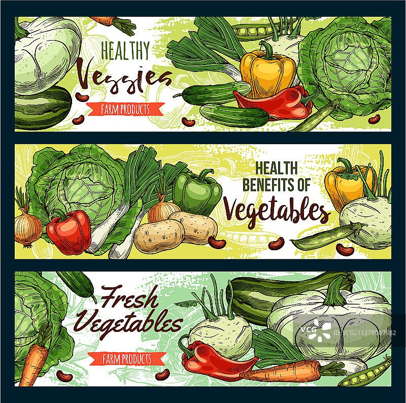 有机蔬菜健康素食图片素材