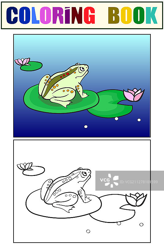 儿童涂色：青蛙图片素材