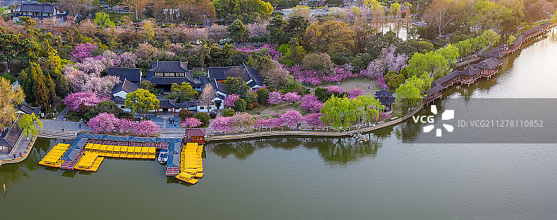 花簇莫愁湖图片素材