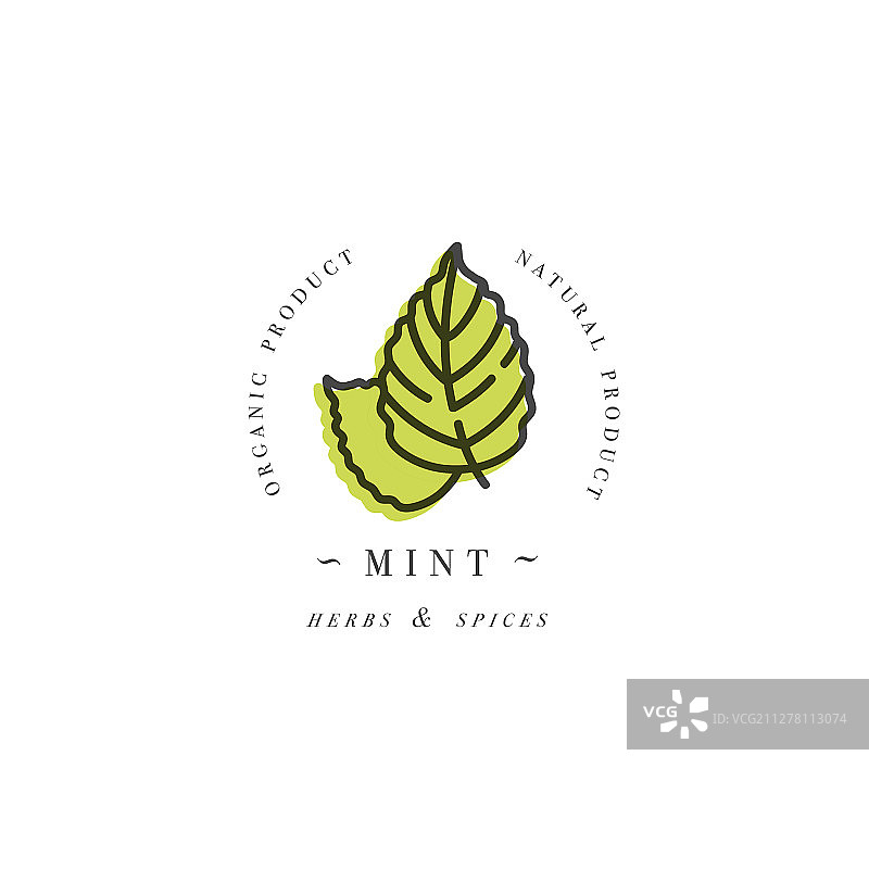 包装设计模板标志和徽章 - 草药图片素材