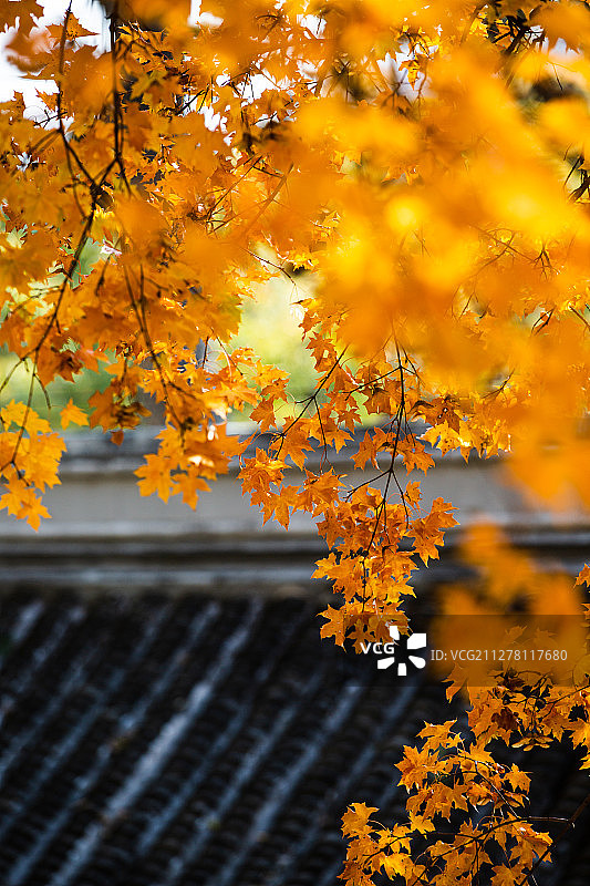 秋天的古建筑图片素材