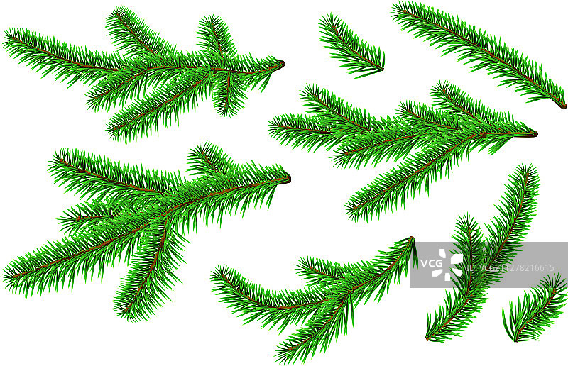 逼真的新年松树冷杉树枝图案图片素材