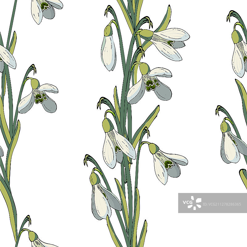 雪花莲无缝花纹图案图片素材