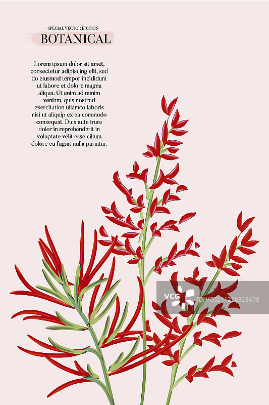 现代红色异域风情婚礼花卉设计图片素材