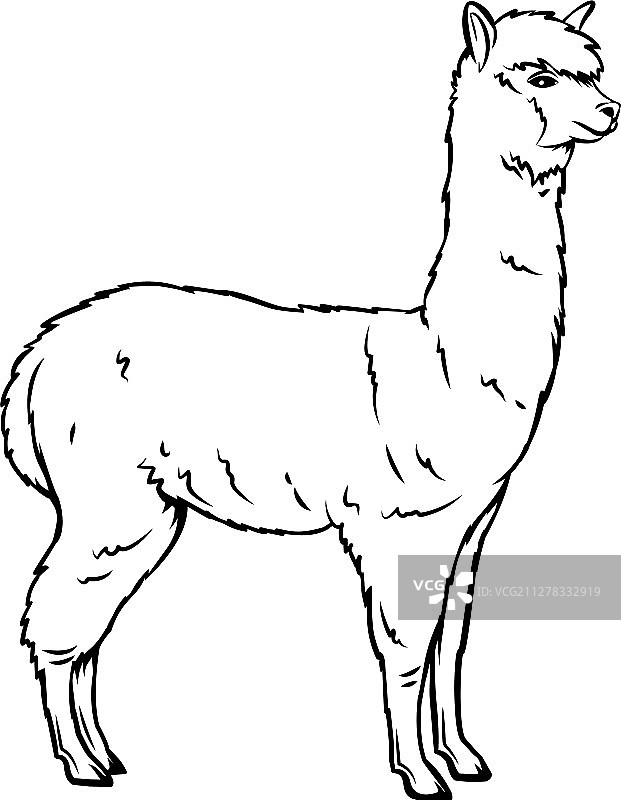 羊驼动物图标图片素材