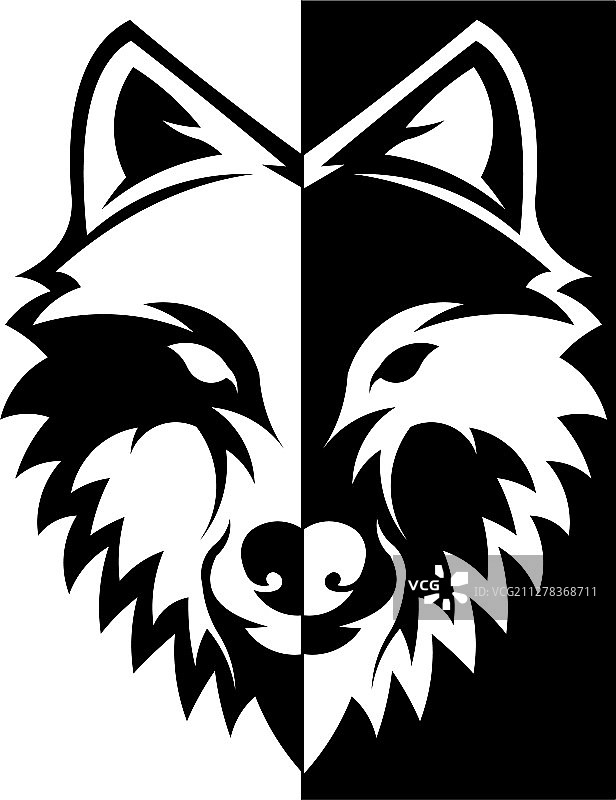 狼在山顶嚎叫图片素材