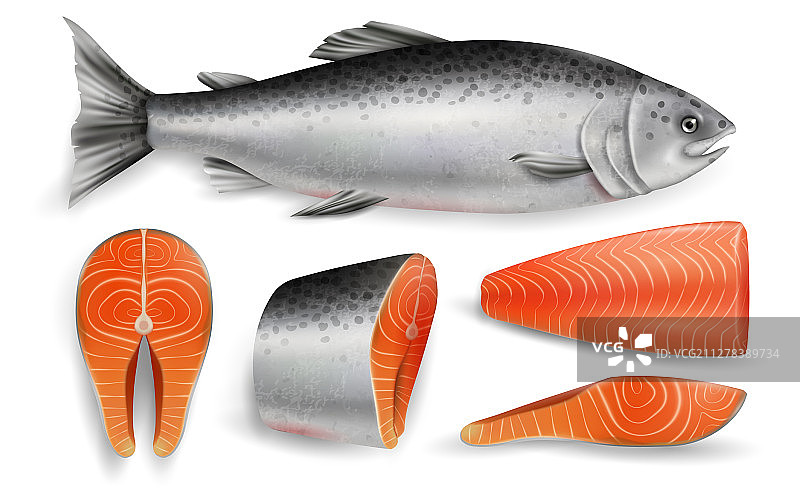 逼真孤立的红鲑鱼图片素材