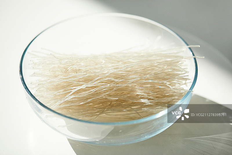 食材、食品预处理、预备食物、烹饪图片素材