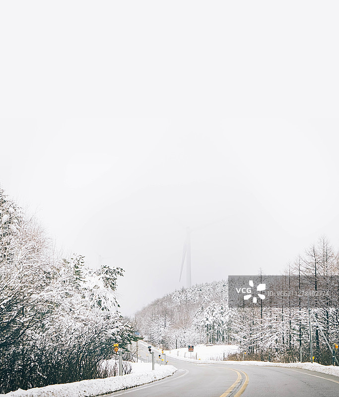 冬季节日，白色背景。图片素材