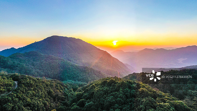 茶园日出图片素材