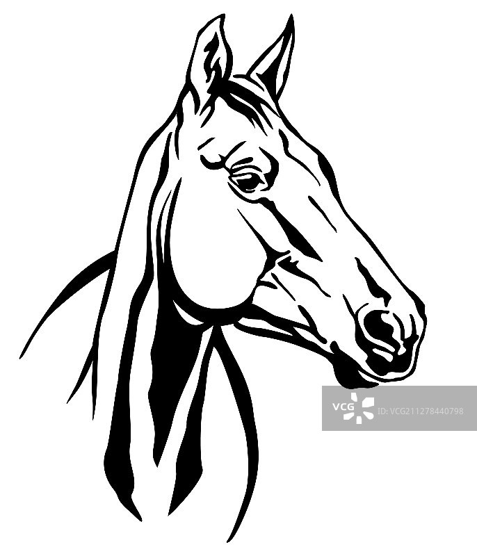 装饰马 5图片素材