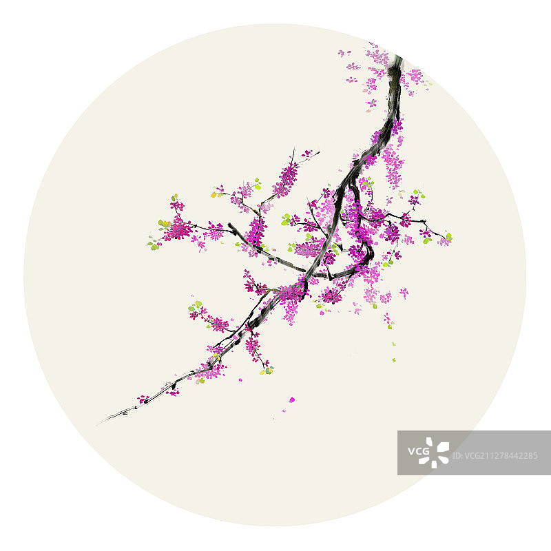 水彩花草插画 紫荆花图片素材