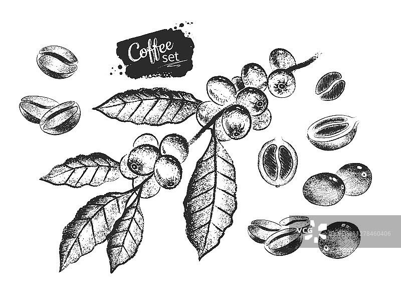 黑白咖啡豆合集图片素材