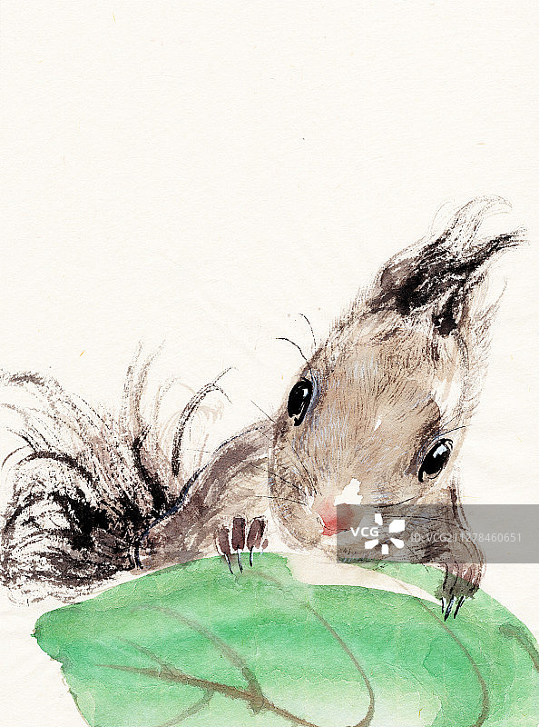 水墨花可爱的小松鼠图片素材