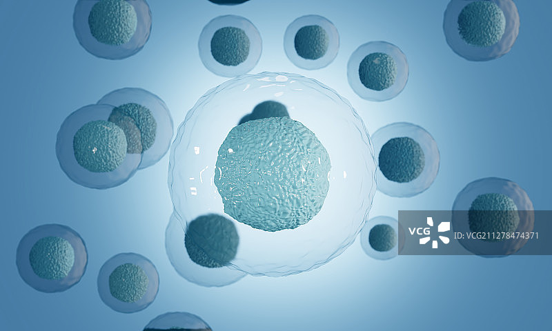 显微镜下的生物卵子卵细胞图片素材