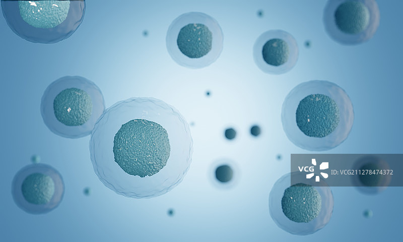 显微镜下的生物卵子卵细胞图片素材