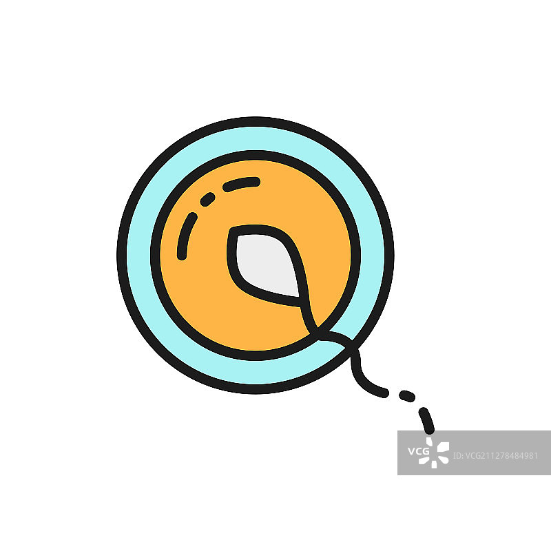 卵子受精图片素材