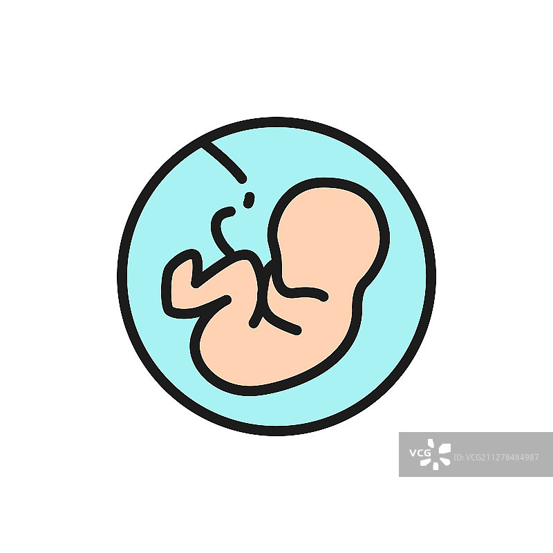 子宫胚胎人类胎儿扁平风格图片素材