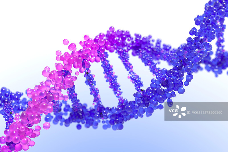 3dDNA图片素材
