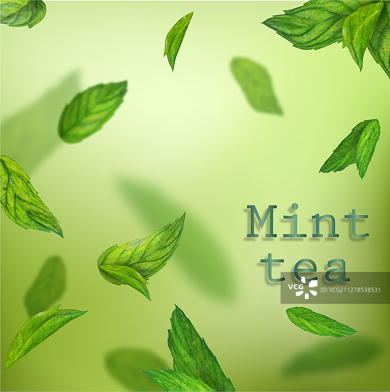 薄荷叶漂浮空中素材合集图片素材