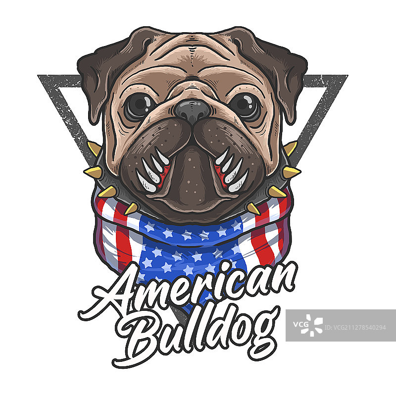 美国斗牛犬旗帜头巾可爱动物图片素材