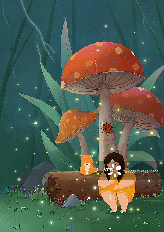 森林的小场景图片素材