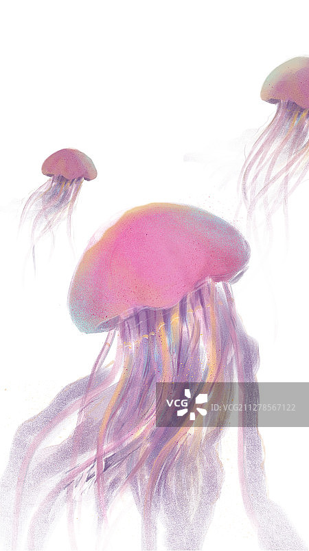 在深海里遨游的水母群白底图片素材