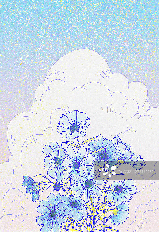 格桑花图片素材